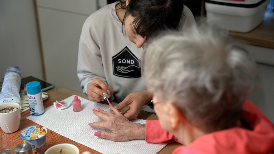 VARSTVO IN DRUŽABNIŠTVO NA DOMU